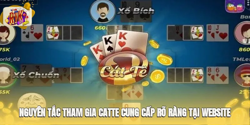 Nguyên tắc tham gia catte cung cấp rõ ràng tại website